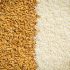 paddy rice and white rice background paddy rice and white rice background